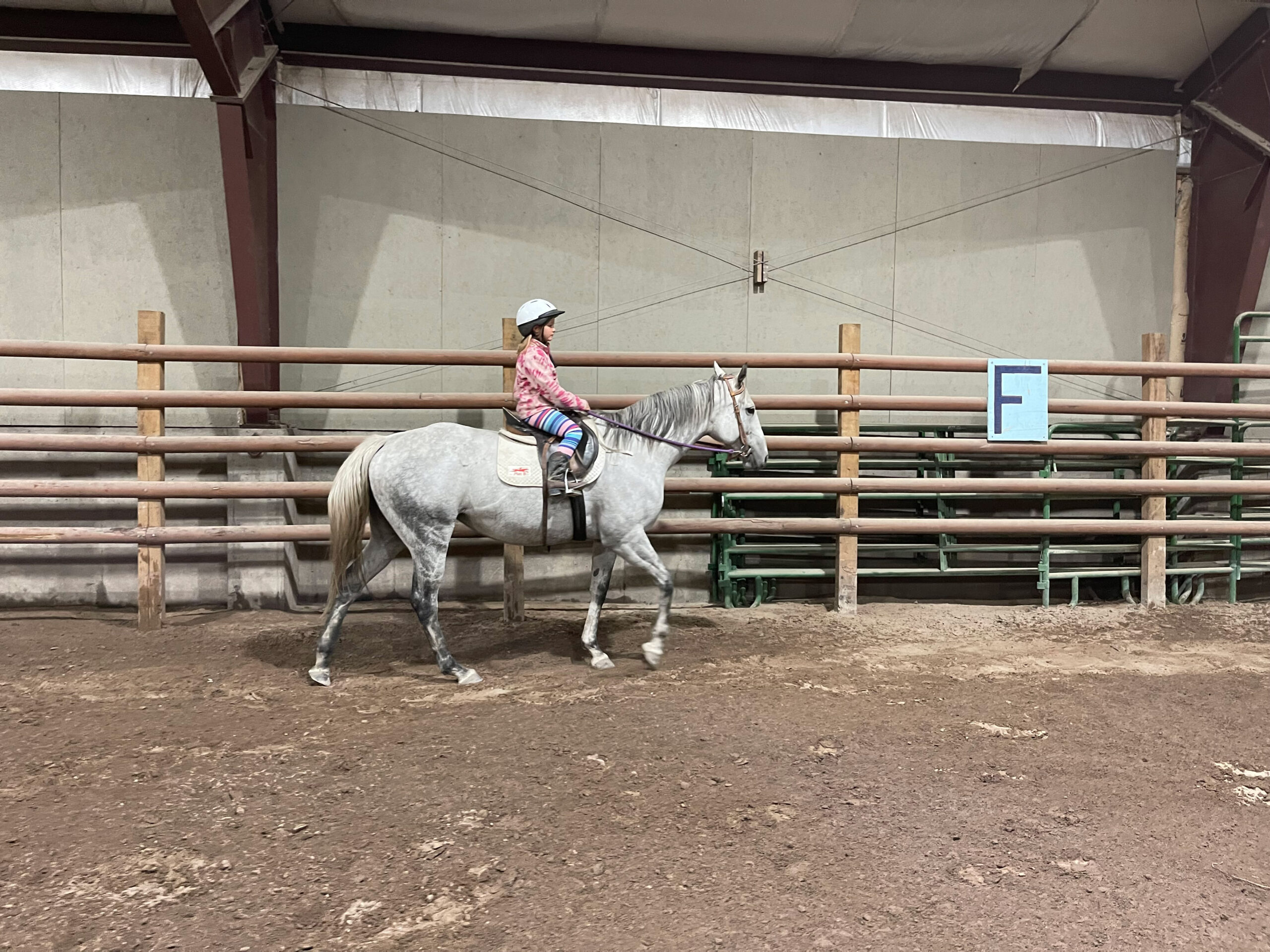 riding lessons